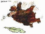 «Медвежьи разборки» – война в Осетии превратилась на Западе в войну карикатур (ФОТО)